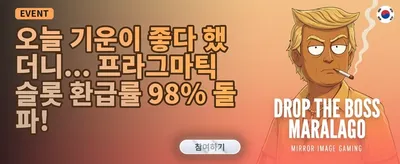 VIP 전용 특별 리워드 promotion