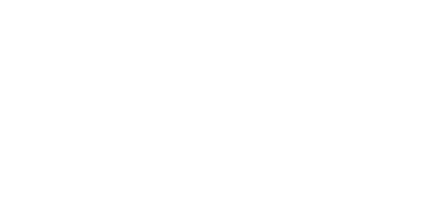 에이스 넷 Logo